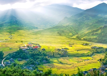 The rice ripening season in Tu Le of Yen Bai Province
