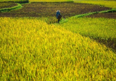 About Mai Chau